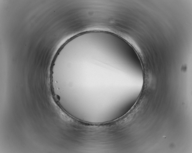 X0000090720996200708171922