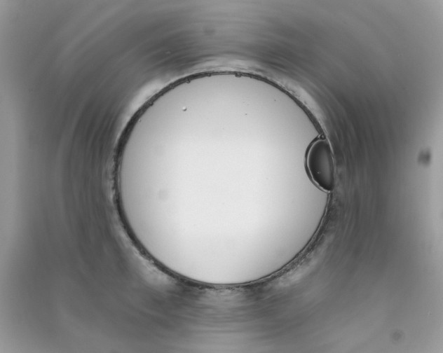 X0000090720997200708171922