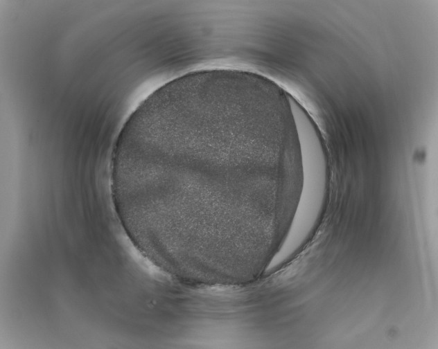 X0000090720998200708171922