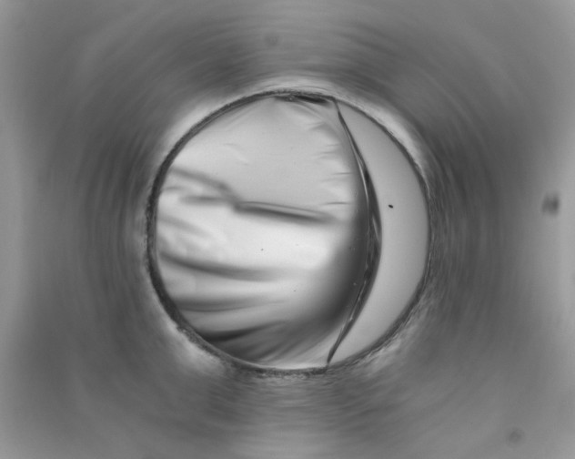 X0000090720999200708171922