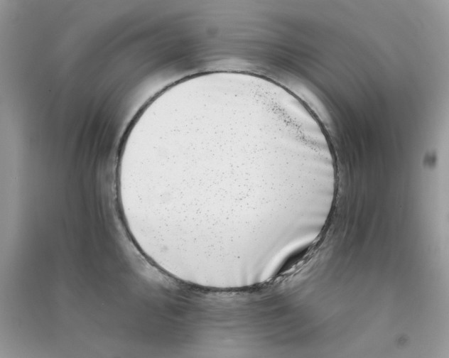 X0000090721000200708171922