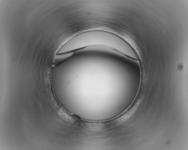 X0000090721001200708171922