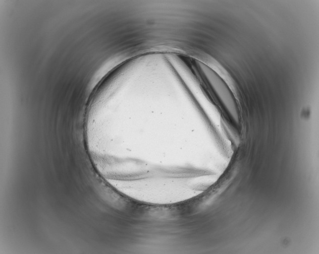 X0000090721002200708171922