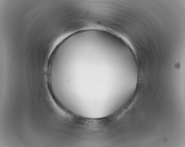 X0000090721003200708171922