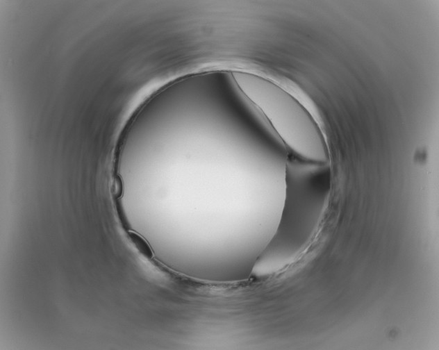 X0000090721005200708171922