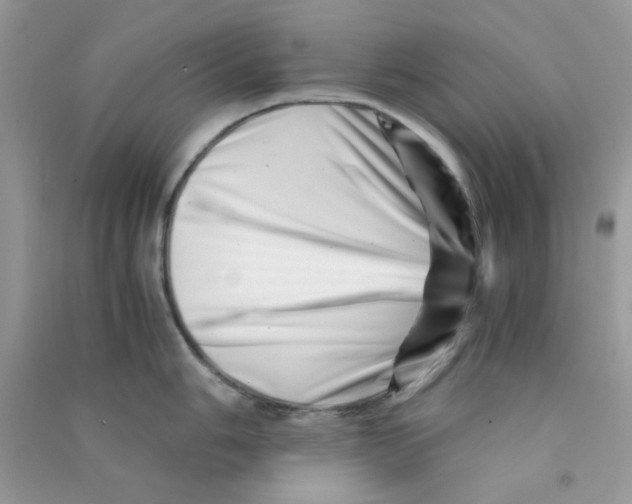 X0000090721006200708171922