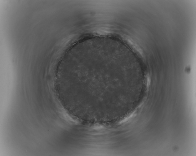 X0000090721009200708171922