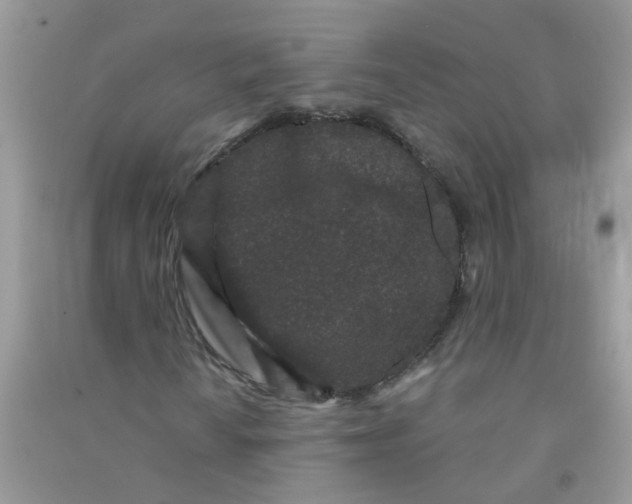 X0000090721010200708171922