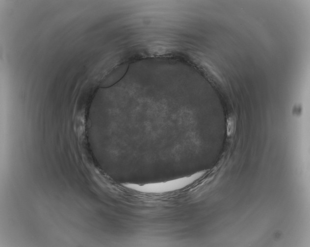 X0000090721011200708171922