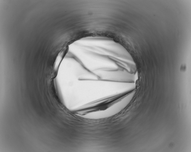 X0000090721012200708171922