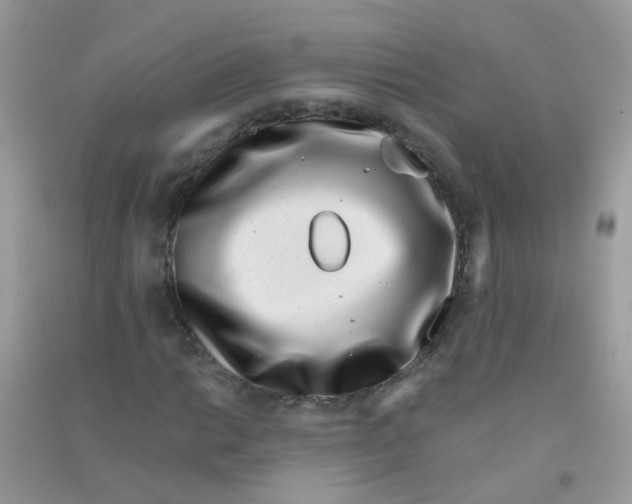 X0000090721014200708171922