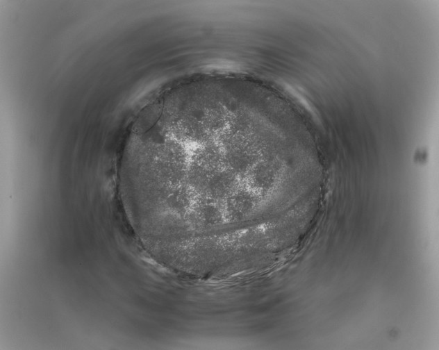 X0000090721015200708171922