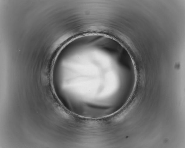 X0000090721018200708171922