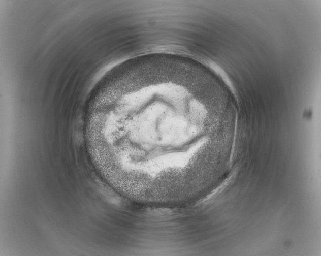 X0000090721019200708171922