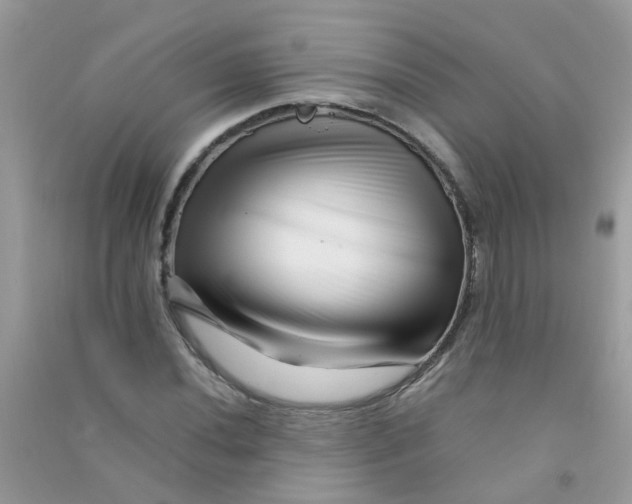 X0000090721020200708171922