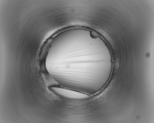 X0000090721022200708171922