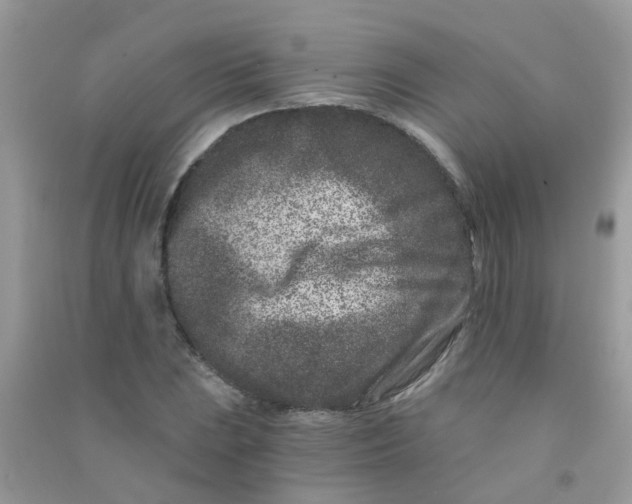 X0000090721023200708171922