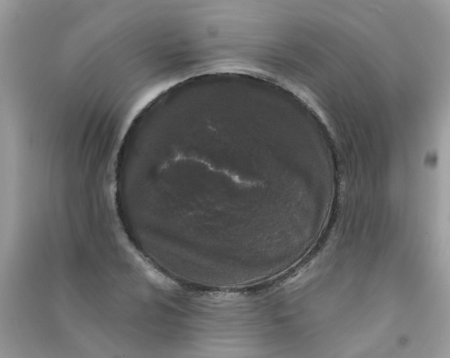 X0000090721024200708171922