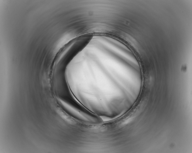 X0000090721026200708171922