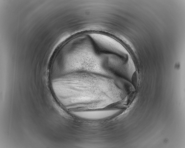 X0000090721029200708171922