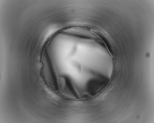 X0000090721030200708171922