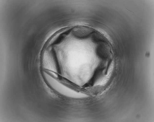 X0000090721031200708171922