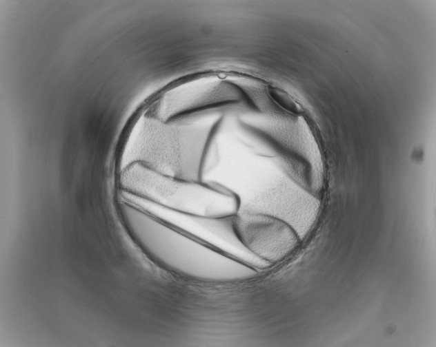 X0000090721032200708171922