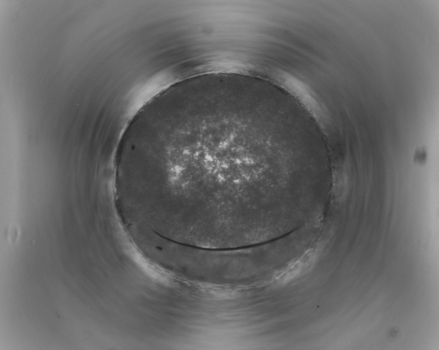 X0000090721034200708171922