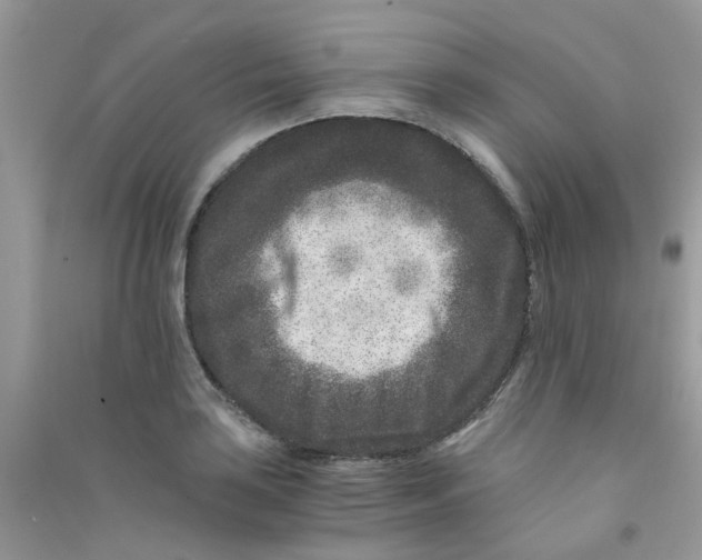 X0000090721035200708171922