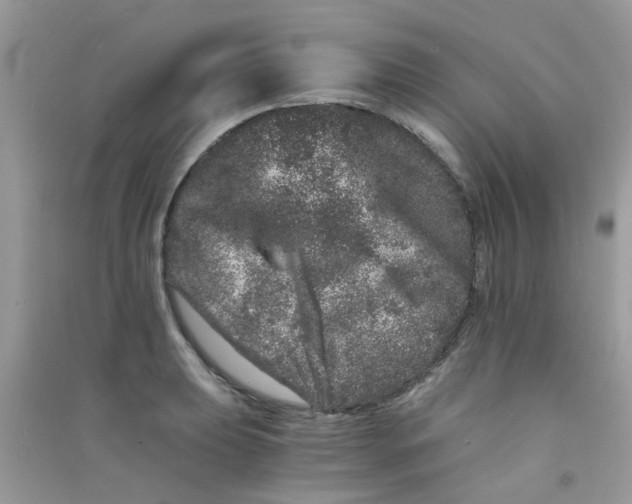 X0000090721039200708171922