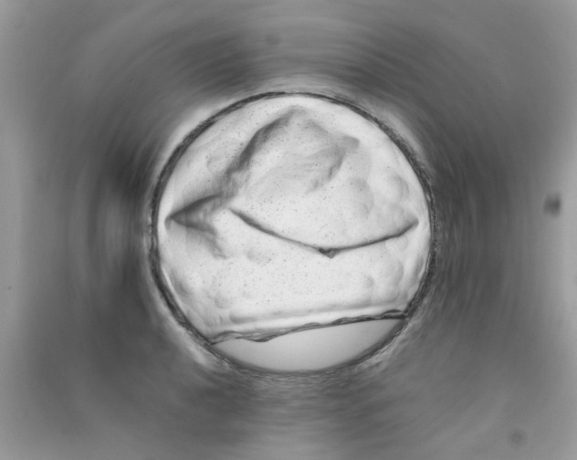 X0000090721040200708171922