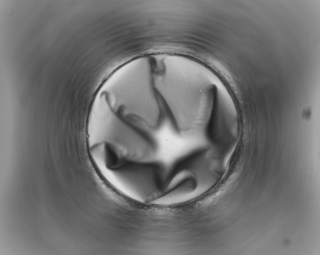 X0000090721041200708171922