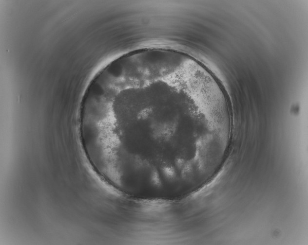 X0000090721045200708171922