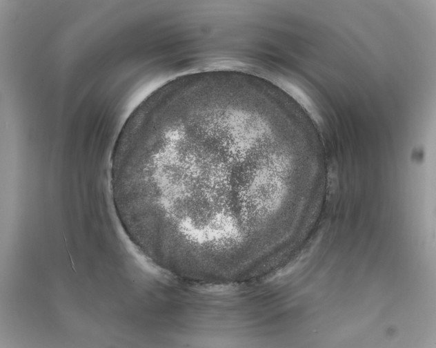 X0000090721047200708171922