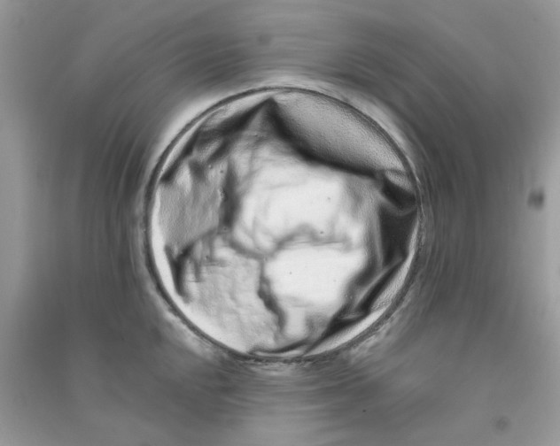 X0000090721048200708171922