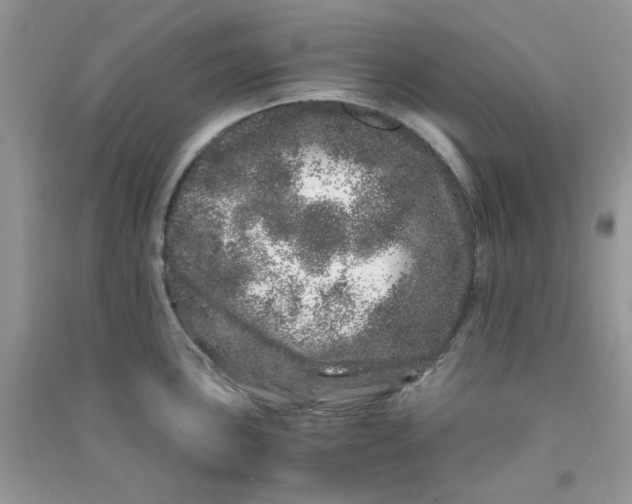 X0000090721051200708171922