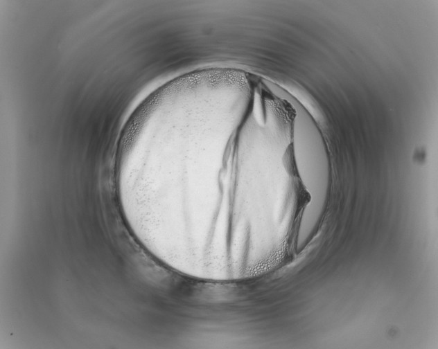 X0000090721052200708171922