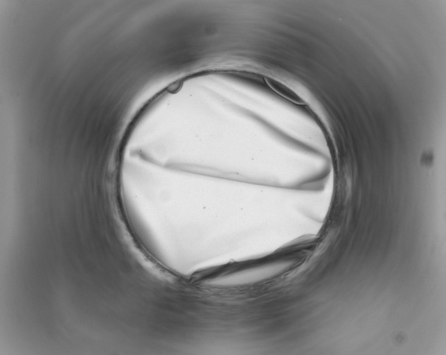 X0000090721053200708171922