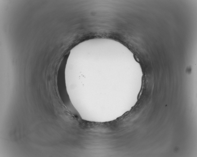 X0000090721057200708171922