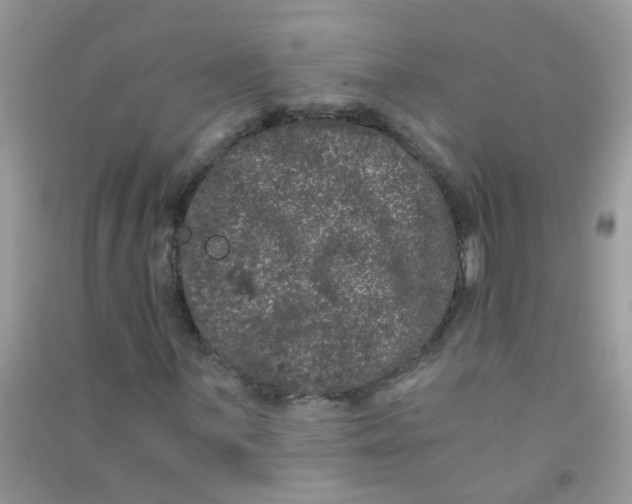 X0000090721059200708171921