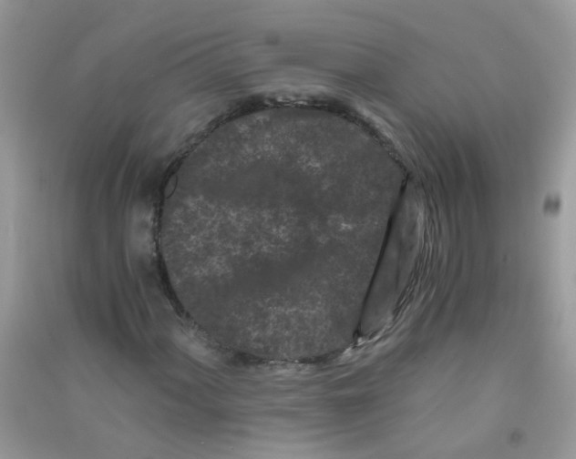 X0000090721060200708171921