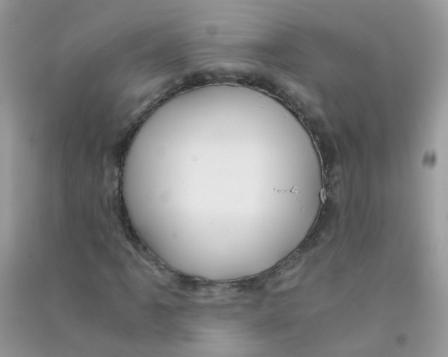 X0000090721061200708171921