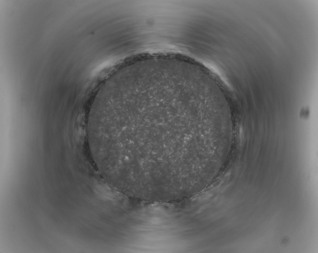 X0000090721063200708171921