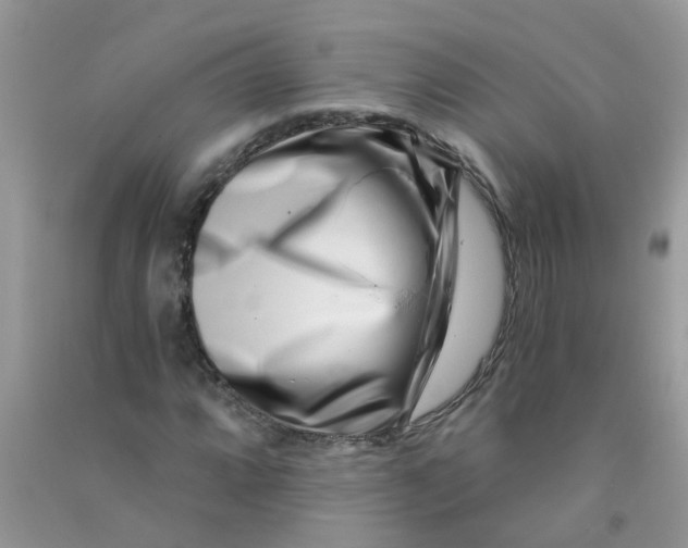 X0000090721064200708171921