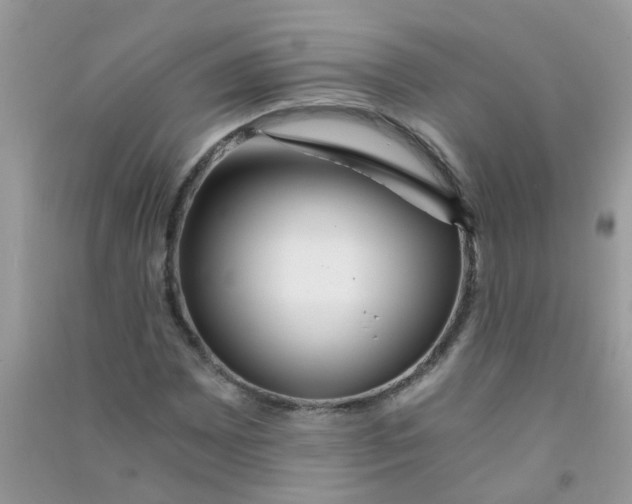 X0000090721065200708171921