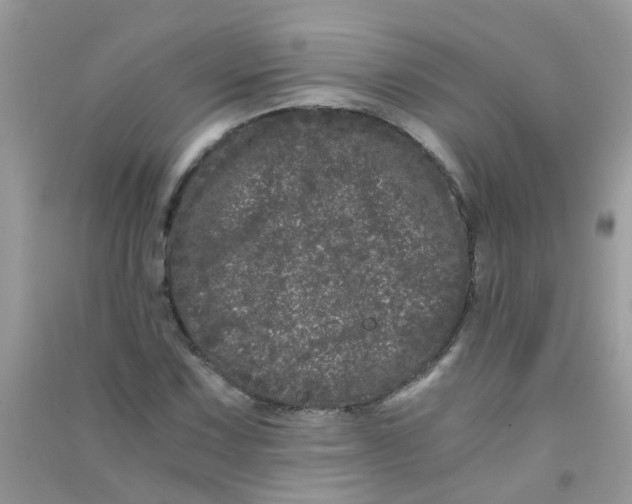 X0000090721067200708171921