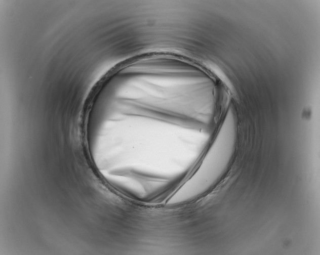 X0000090721068200708171921