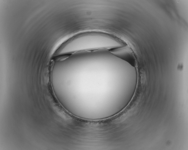 X0000090721069200708171921