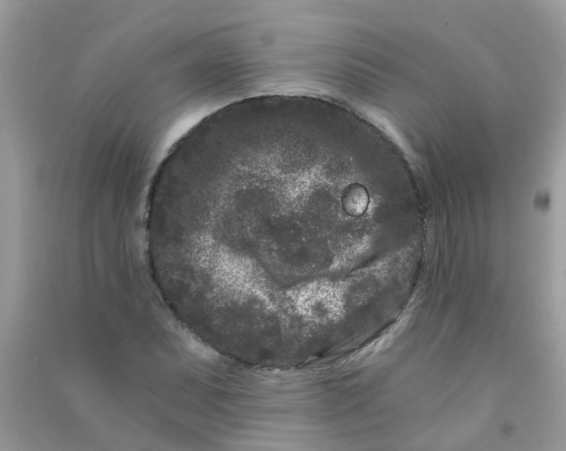 X0000090721071200708171921