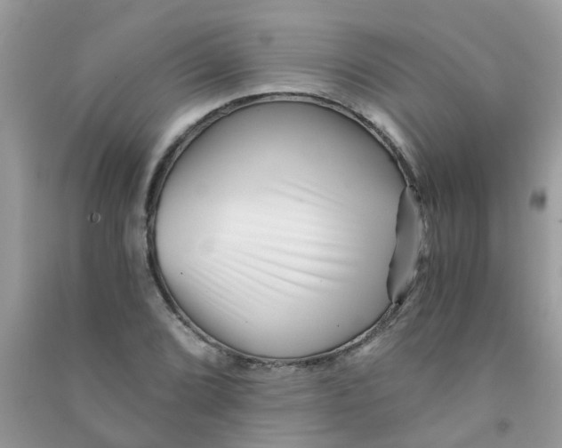 X0000090721072200708171921